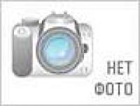 TOYOTA LEXUS RX300 (1998-2003) Дуга низкая (кенгурятник) - shop.jeeper.by